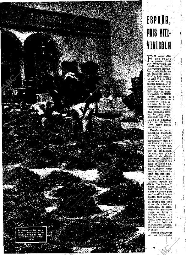 ABC MADRID 11-11-1951 página 22