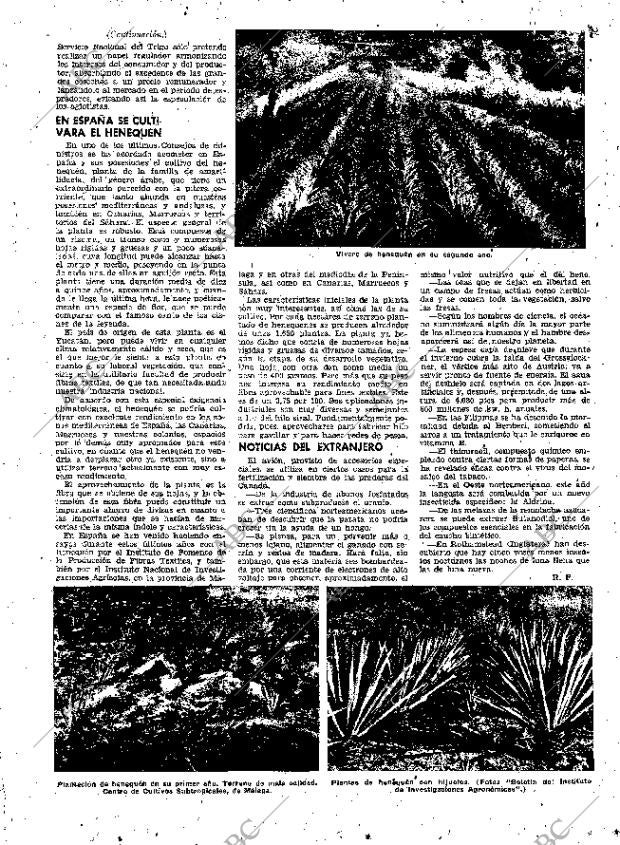 ABC MADRID 11-11-1951 página 27