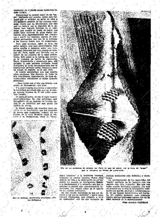 ABC MADRID 29-11-1951 página 11
