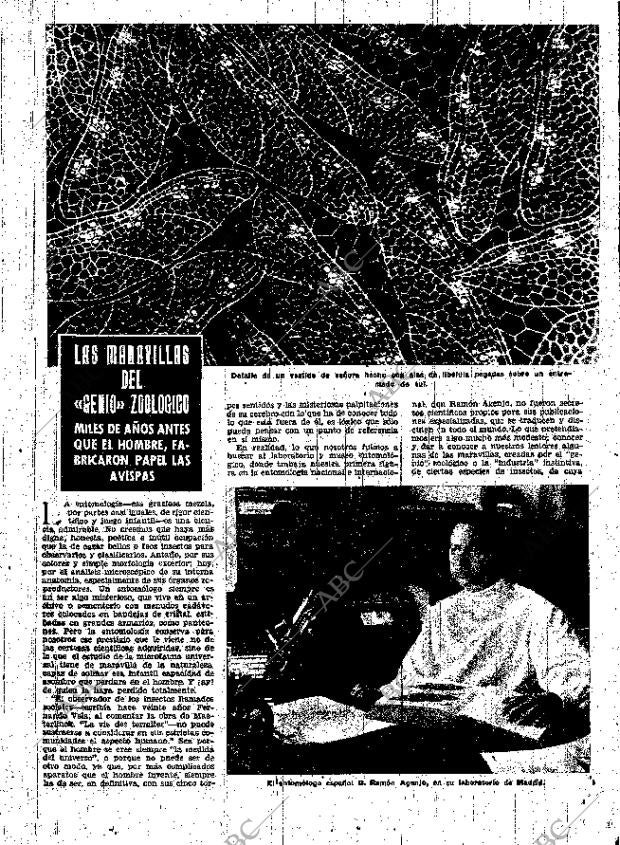 ABC MADRID 29-11-1951 página 9