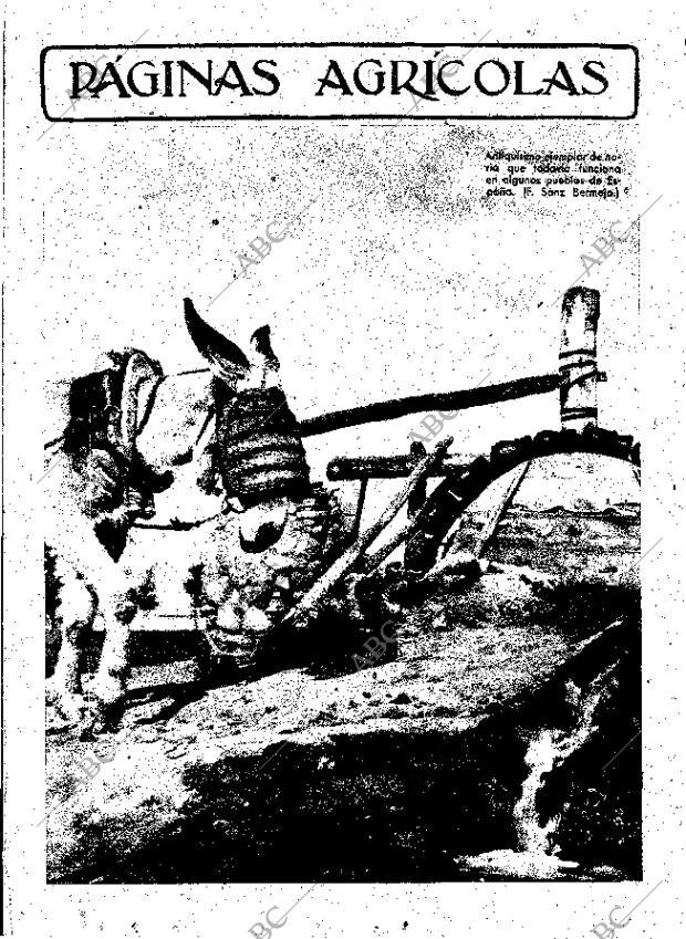 ABC MADRID 16-12-1951 página 13