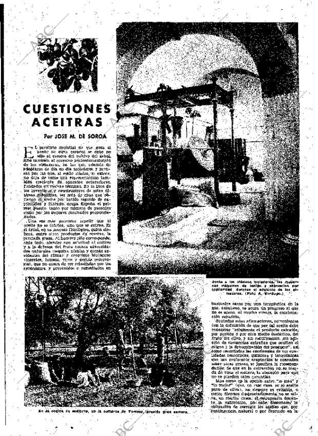ABC MADRID 16-12-1951 página 17