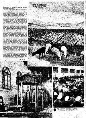 ABC MADRID 16-12-1951 página 20