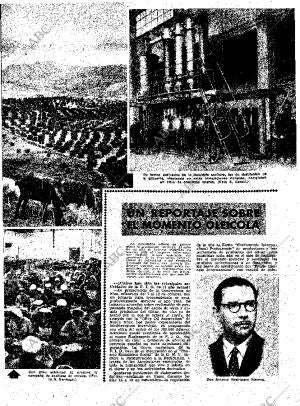 ABC MADRID 16-12-1951 página 21