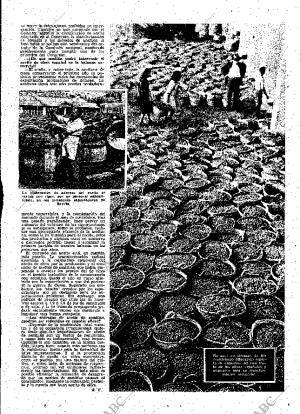 ABC MADRID 16-12-1951 página 25