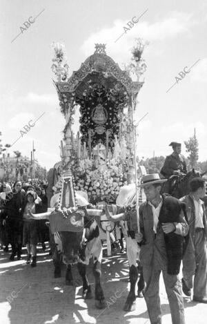 "Simpecado", de la hermandad del Salvador (Sevilla)