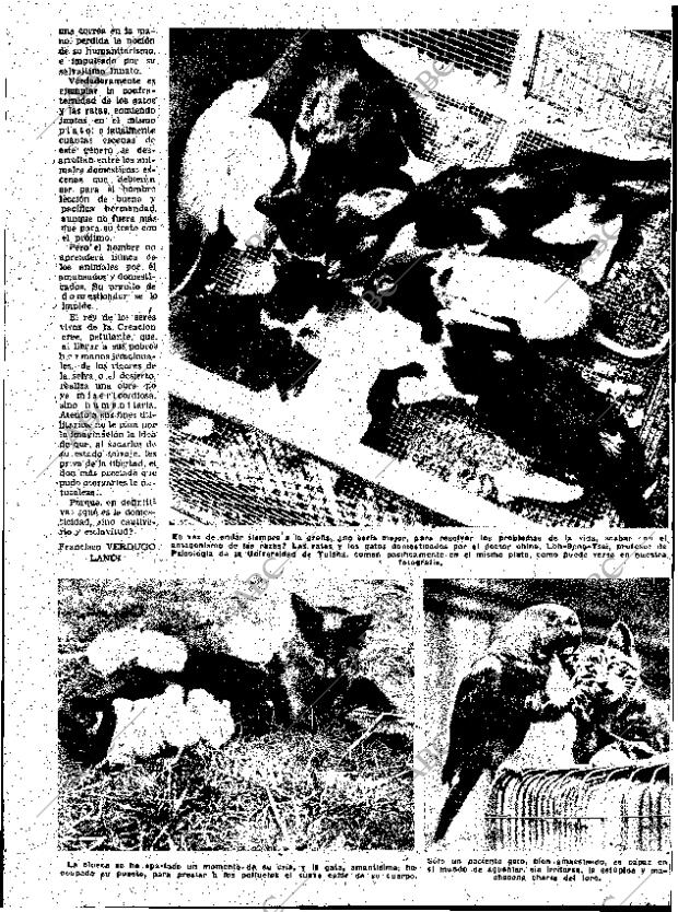 ABC SEVILLA 30-08-1952 página 5