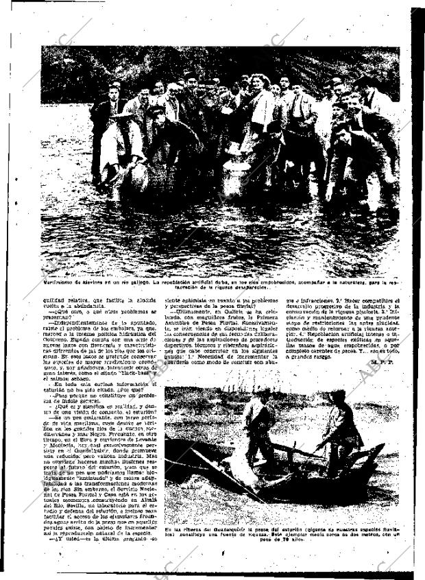 ABC MADRID 31-10-1952 página 11
