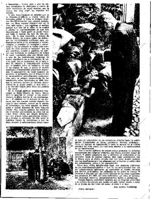 ABC SEVILLA 14-12-1952 página 19