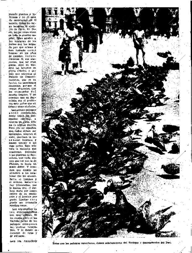 ABC SEVILLA 16-12-1952 página 11