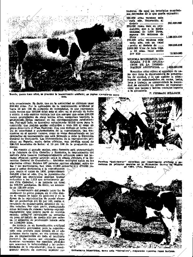 ABC SEVILLA 23-12-1952 página 11