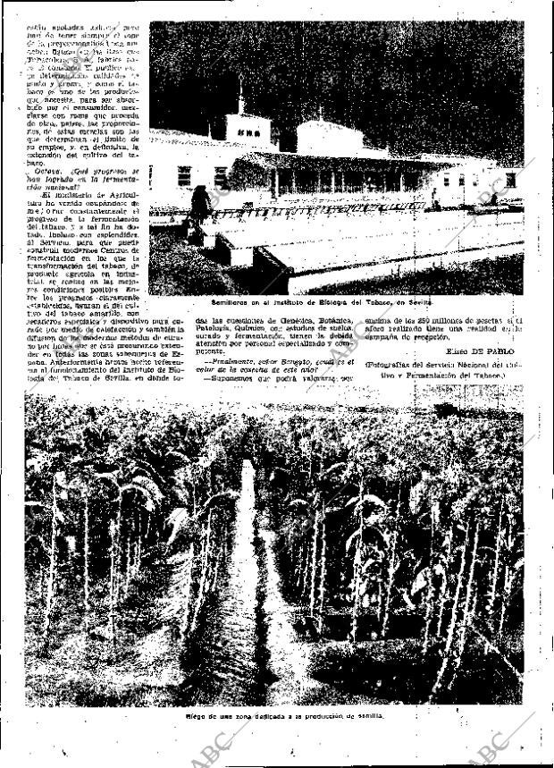 ABC MADRID 22-01-1953 página 35