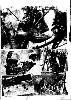 ABC MADRID 15-02-1953 página 22