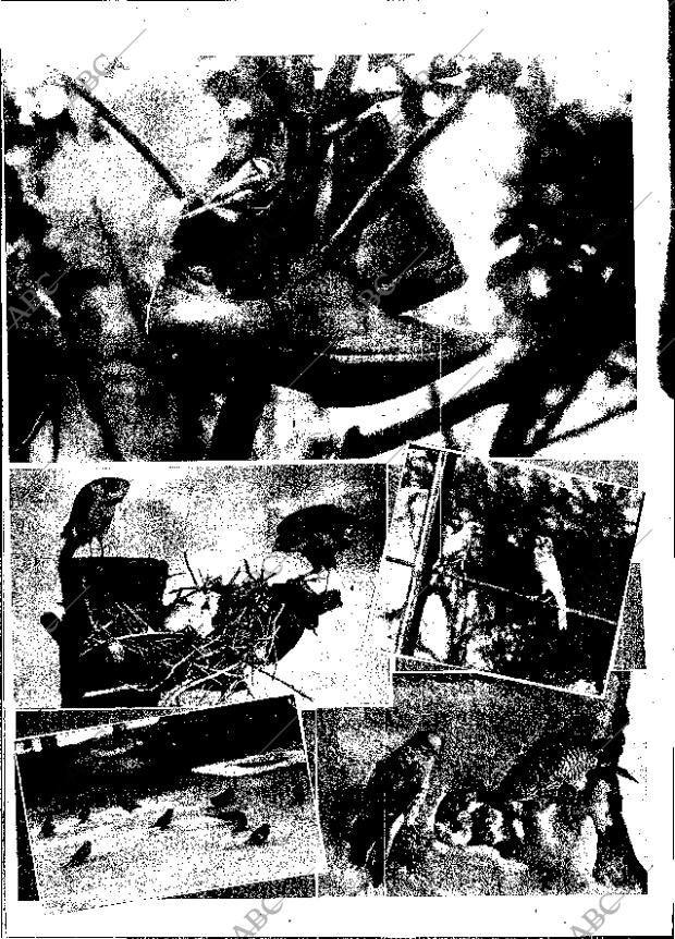 ABC MADRID 15-02-1953 página 22