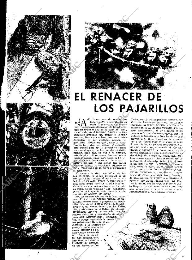 ABC MADRID 15-02-1953 página 23