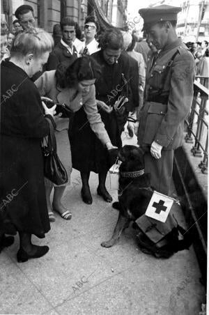 Un perro de la policía armada Sosteniendo, entre los Dientes, la hucha en la que...