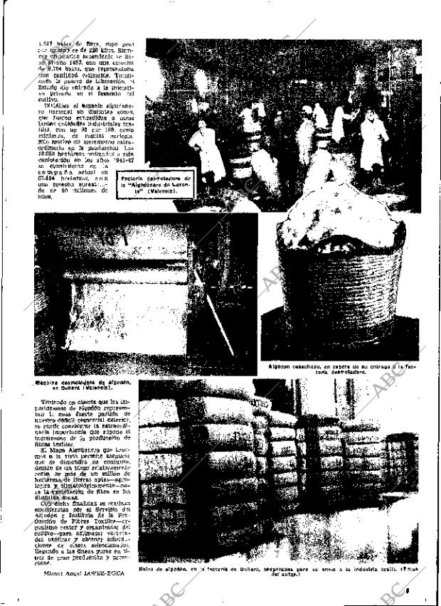 ABC MADRID 11-06-1953 página 17
