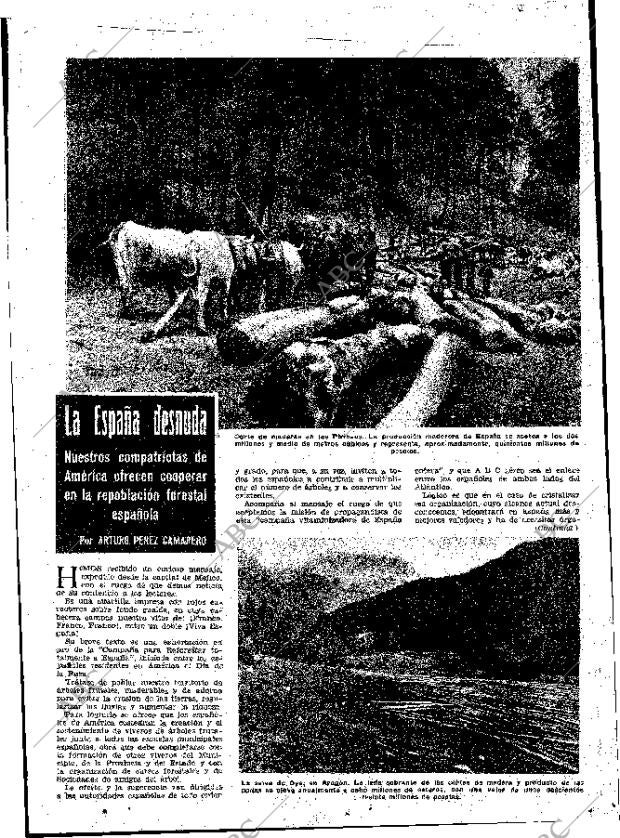 ABC MADRID 16-12-1953 página 11