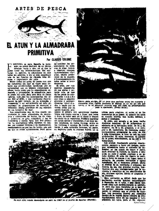 ABC MADRID 17-12-1953 página 23