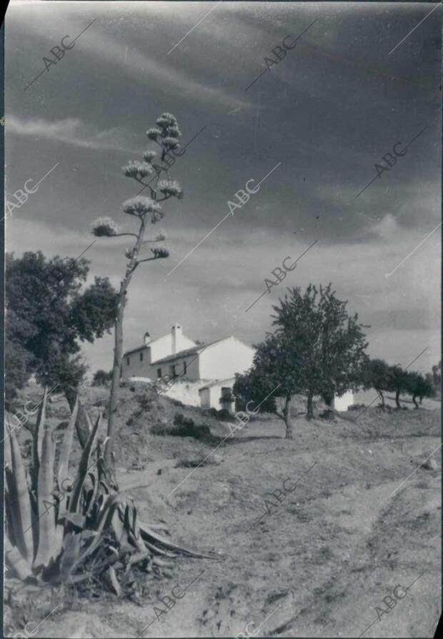 Caserío en Los "Majuelos" de Sierra Morena (Andújar)