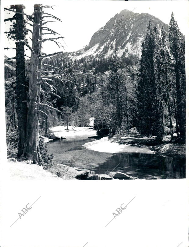 Remansos de Aigues Tortes, parque nacional de montaña