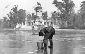 Empleados del Ayuntamiento rescatan los peces para trasladarlos a aguas mas...