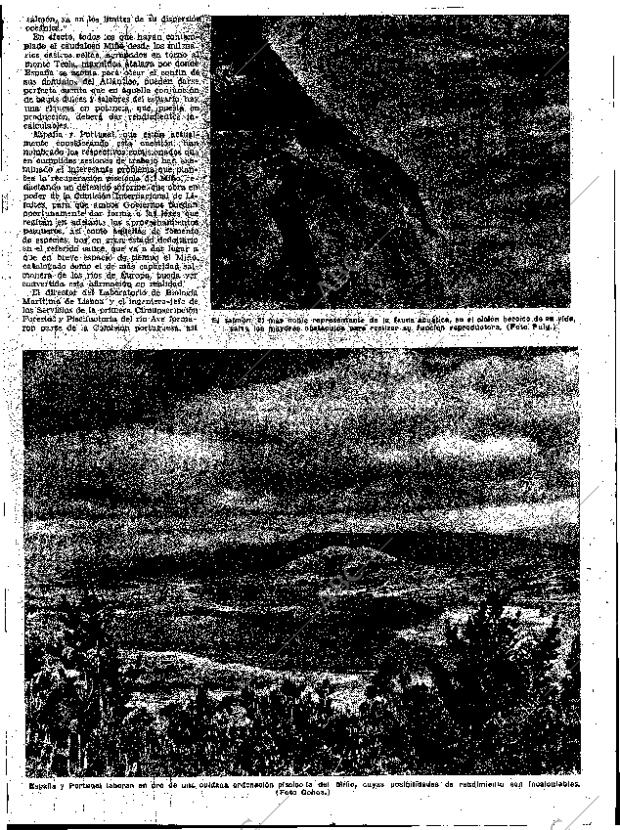 ABC SEVILLA 24-01-1954 página 9