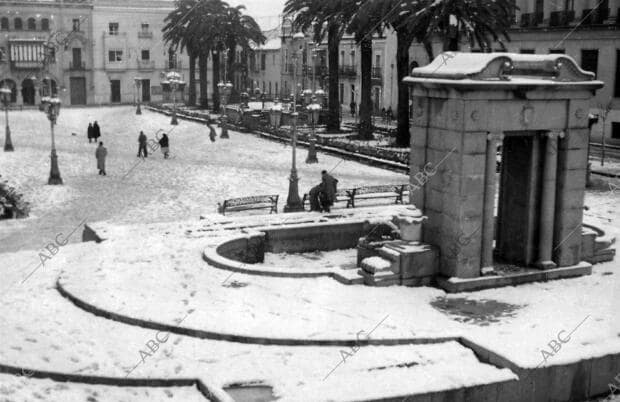 En nuestro grabado pueden verse las palmas de los datileros de la Plaza de las...