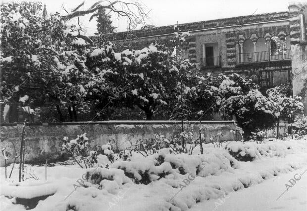 Nevada en Sevilla