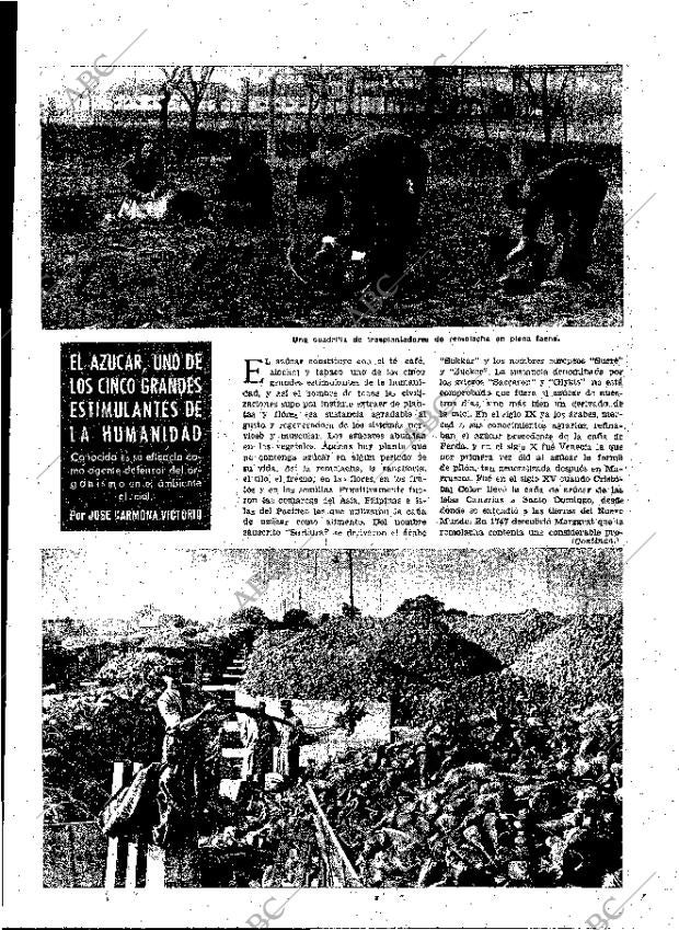 ABC MADRID 07-02-1954 página 19