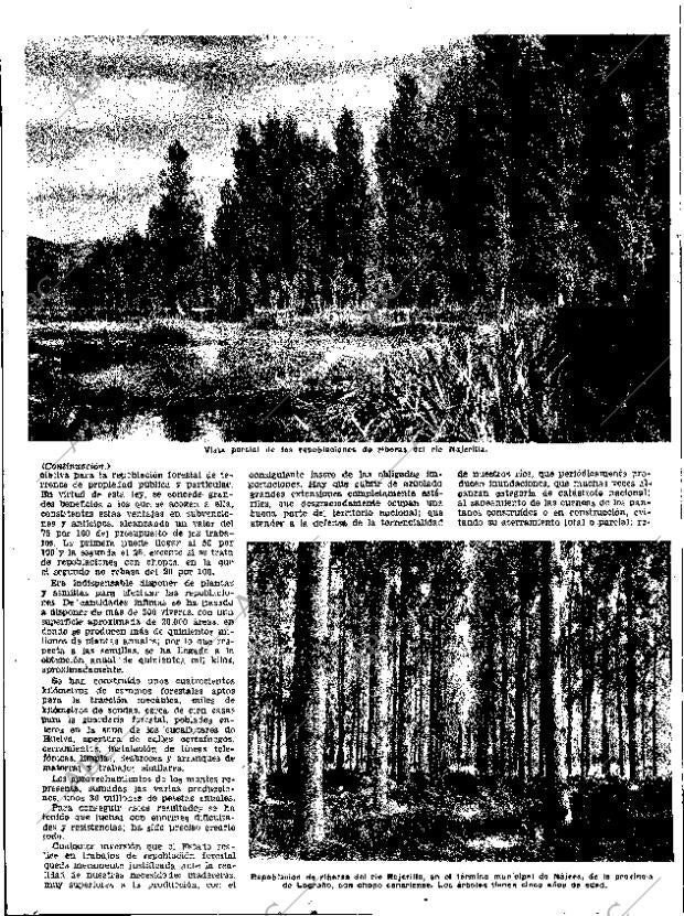 ABC SEVILLA 14-03-1954 página 12