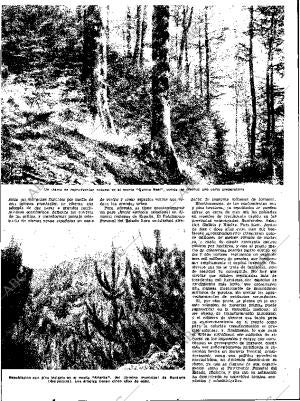 ABC SEVILLA 14-03-1954 página 13