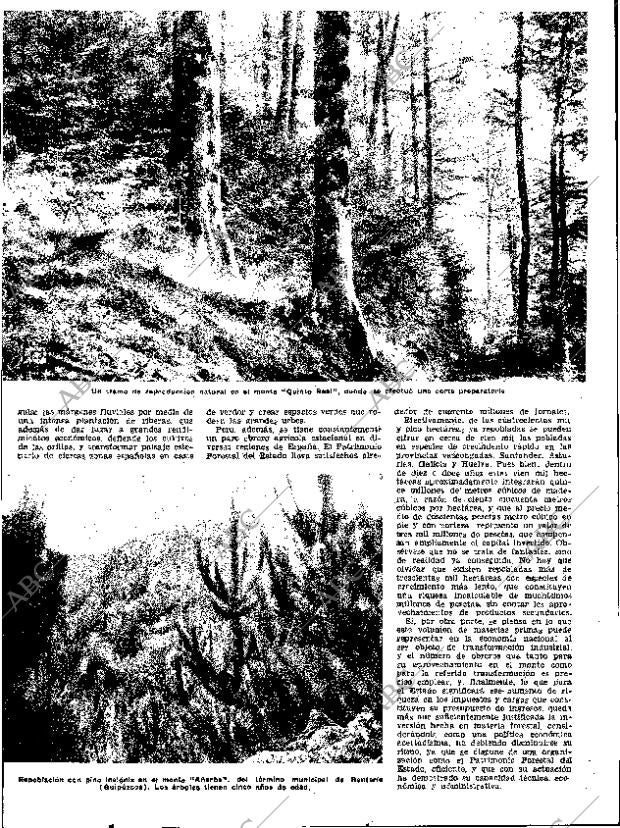 ABC SEVILLA 14-03-1954 página 13