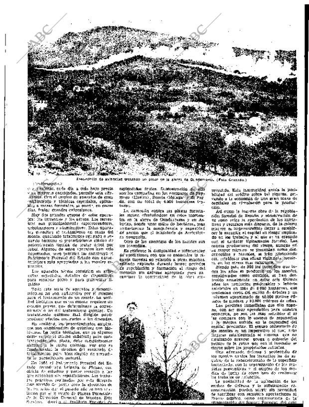 ABC SEVILLA 14-03-1954 página 19