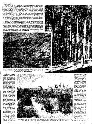 ABC SEVILLA 14-03-1954 página 6