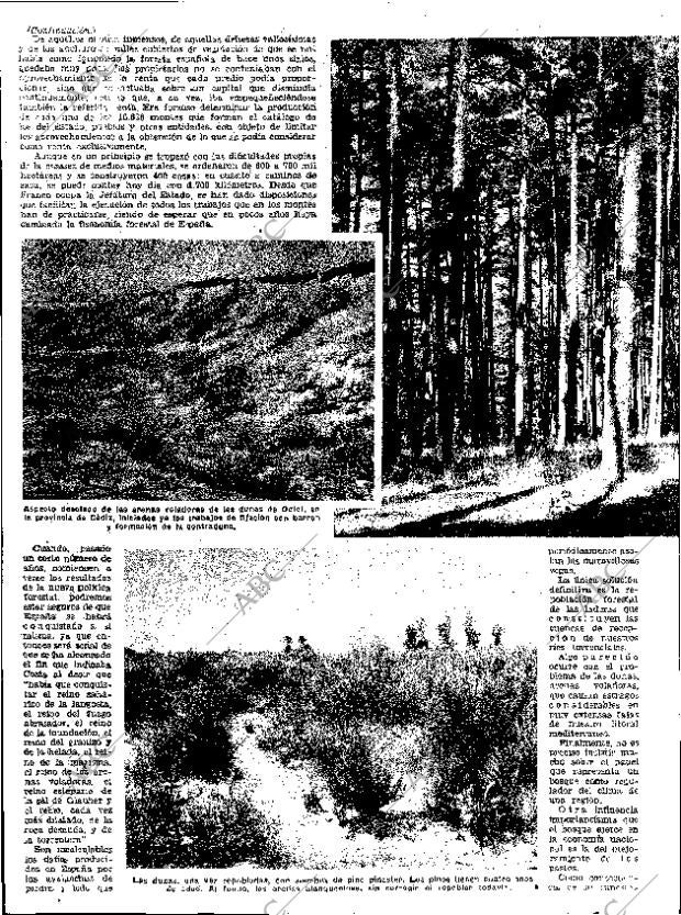 ABC SEVILLA 14-03-1954 página 6