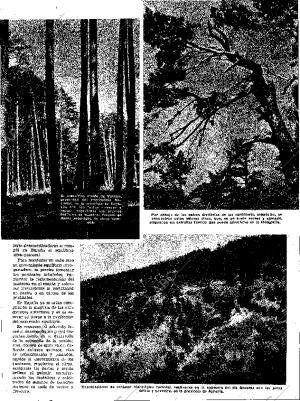 ABC SEVILLA 14-03-1954 página 7