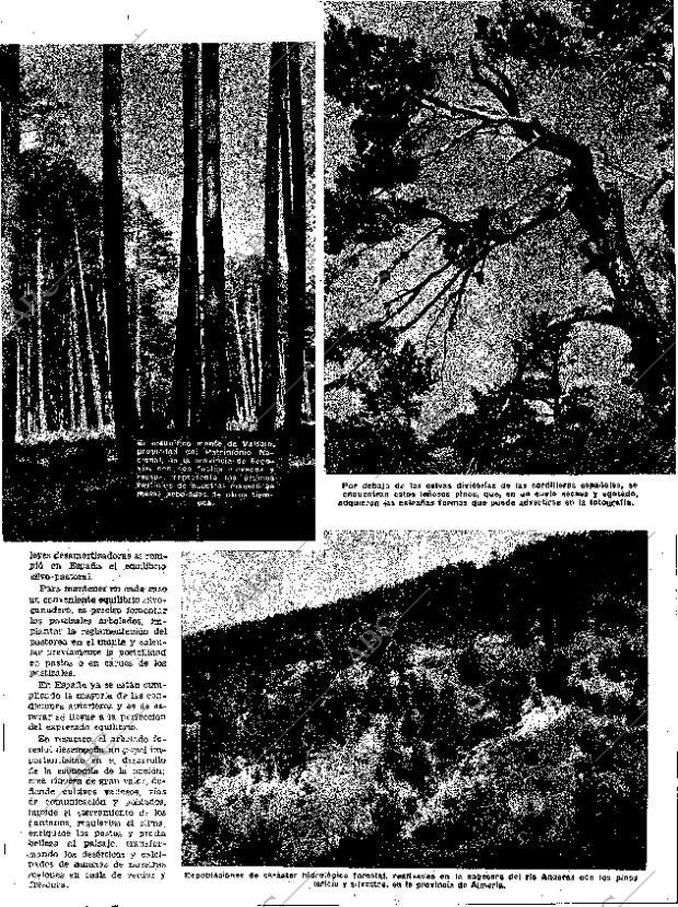 ABC SEVILLA 14-03-1954 página 7