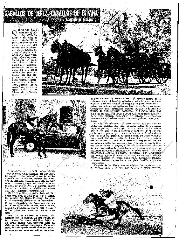 ABC SEVILLA 18-04-1954 página 17