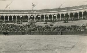 La Plaza de Toros de la Real Maestranza de Sevilla