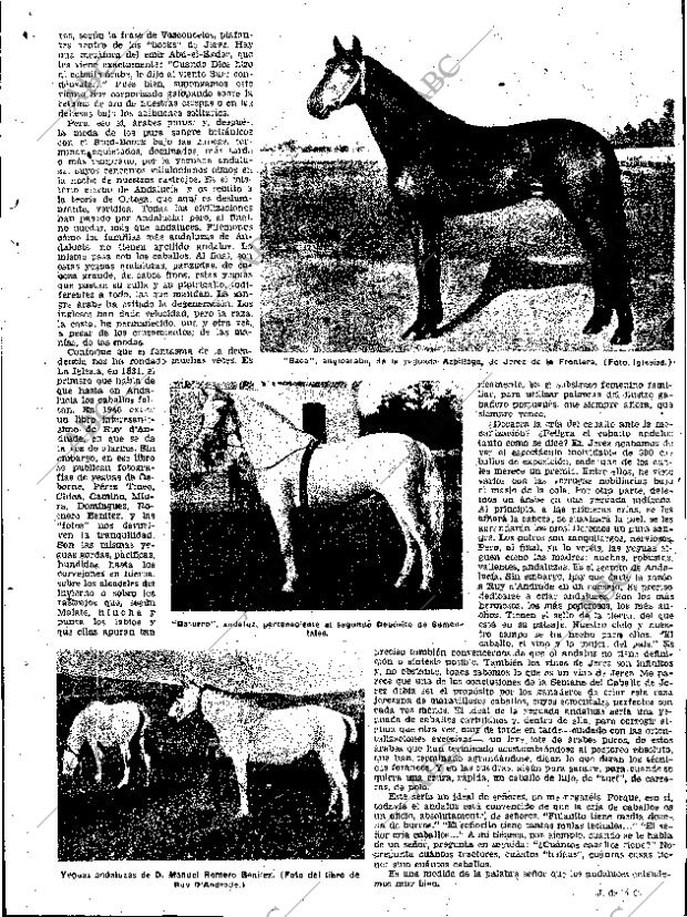 ABC SEVILLA 14-05-1954 página 5