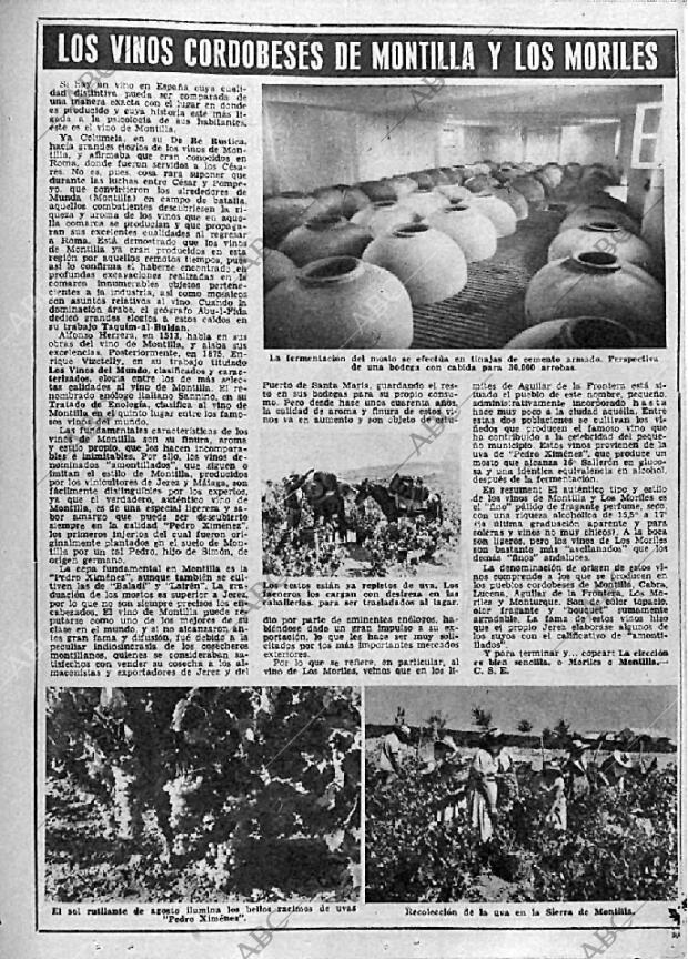 ABC MADRID 25-05-1954 página 17