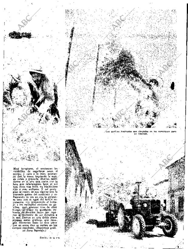 ABC SEVILLA 01-07-1954 página 5