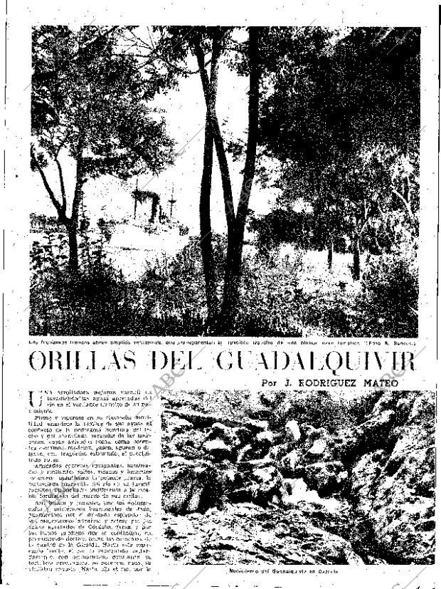 ABC SEVILLA 01-07-1954 página 7