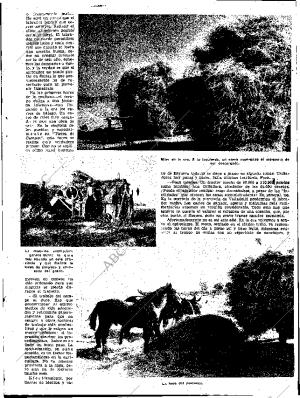 ABC SEVILLA 19-09-1954 página 5
