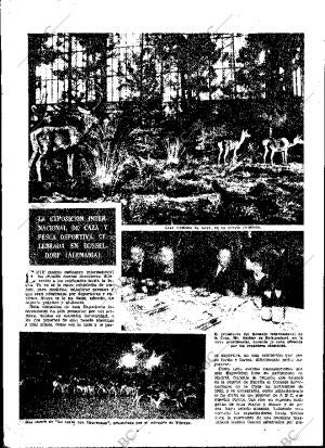 ABC MADRID 17-11-1954 página 22