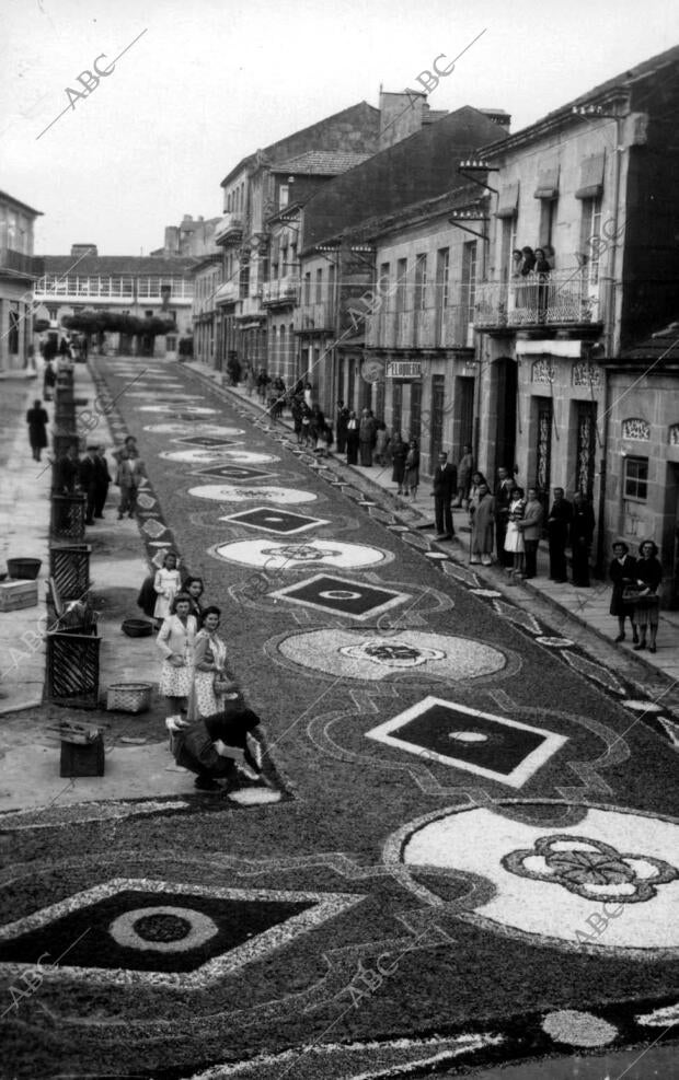 Alfombras de Flores en una de las Calles Principales del pueblo Pontáreas...