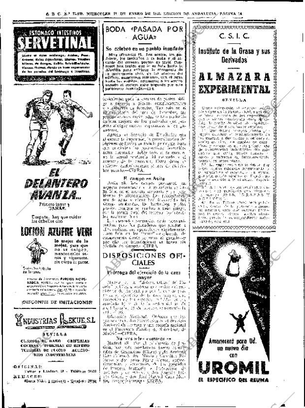 ABC SEVILLA 19-01-1955 página 14
