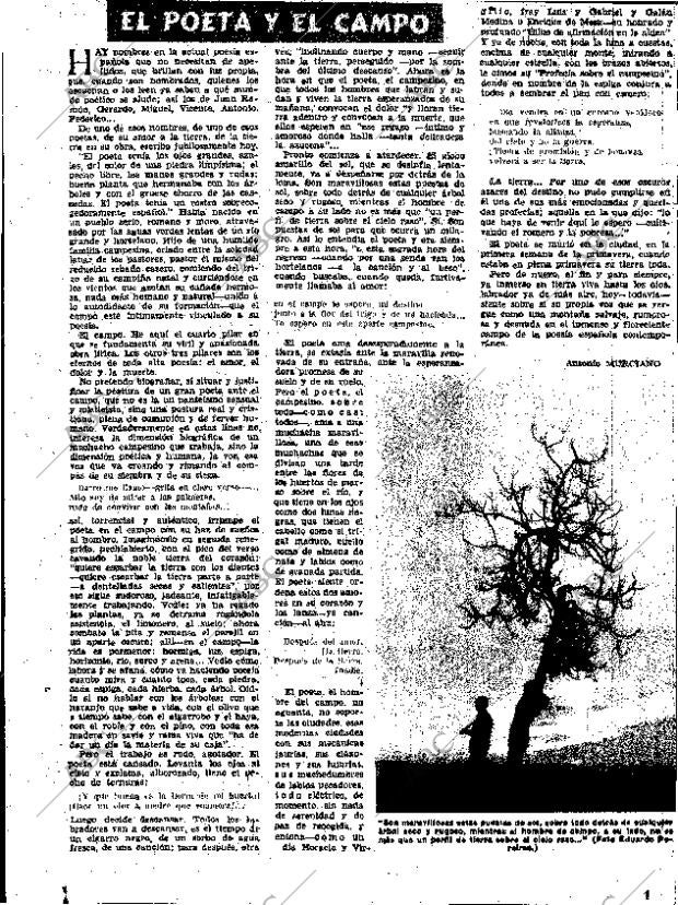 ABC SEVILLA 19-01-1955 página 4