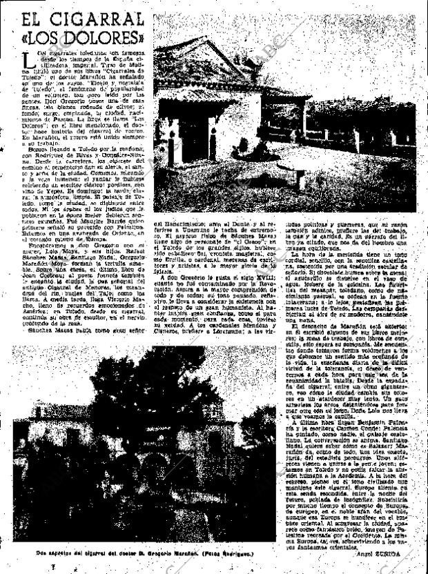 ABC SEVILLA 23-01-1955 página 13